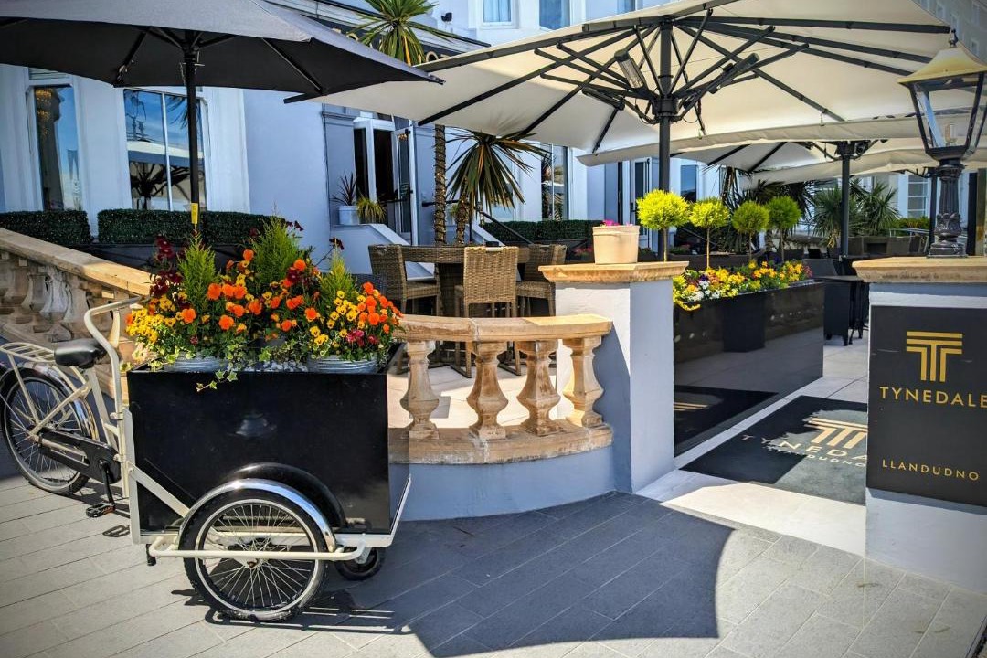 Photo of Others in Llandudno