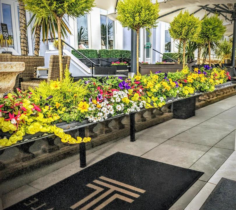 Photo of Others in Llandudno