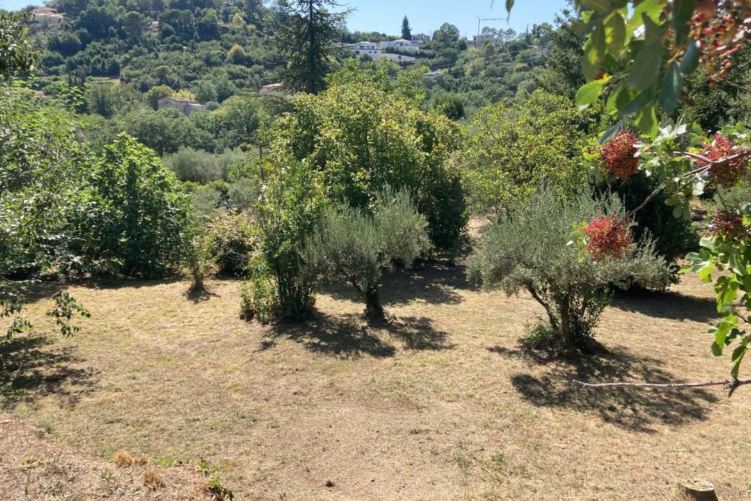 Photo of Others in Ales