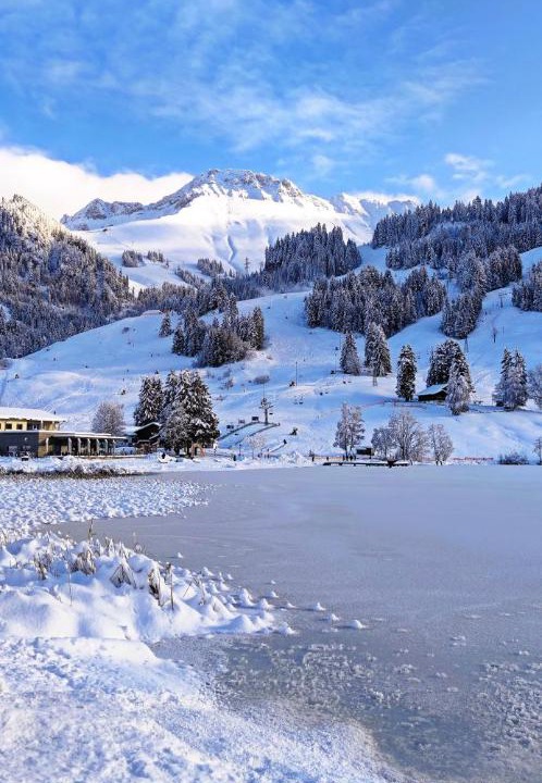 Photo of Others in Schwarzsee