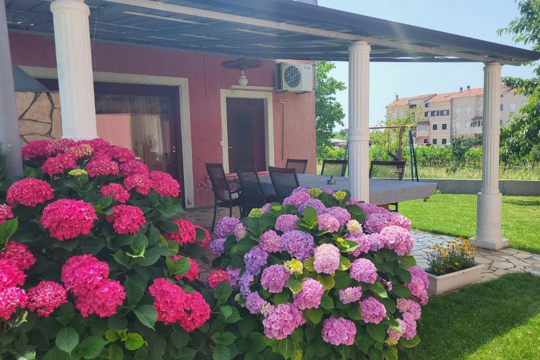 Photo of Others in Vrvari
