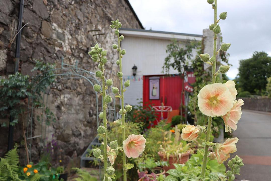 Photo of Others in Newburgh