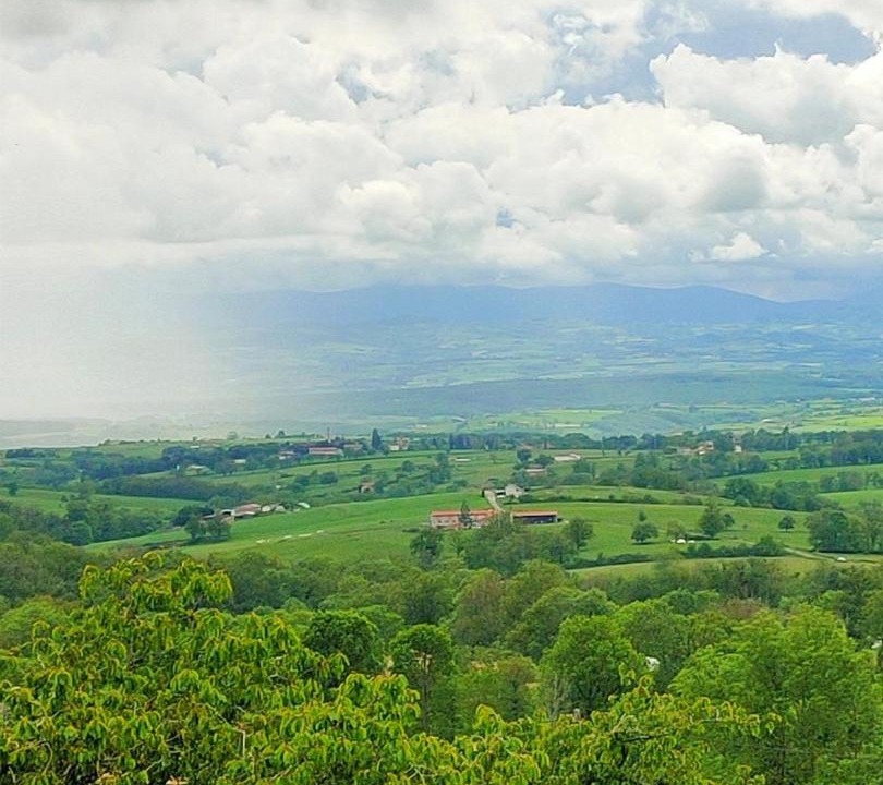 Photo of Others in Neulise