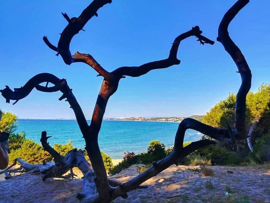 Photo of Others in Tarragona