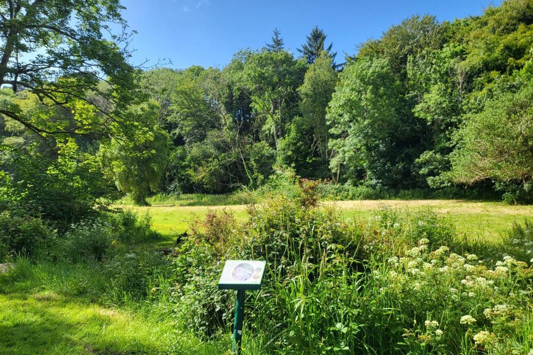 Photo of Others in Lelant