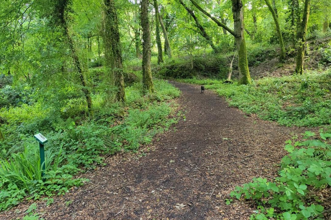 Photo of Others in Lelant