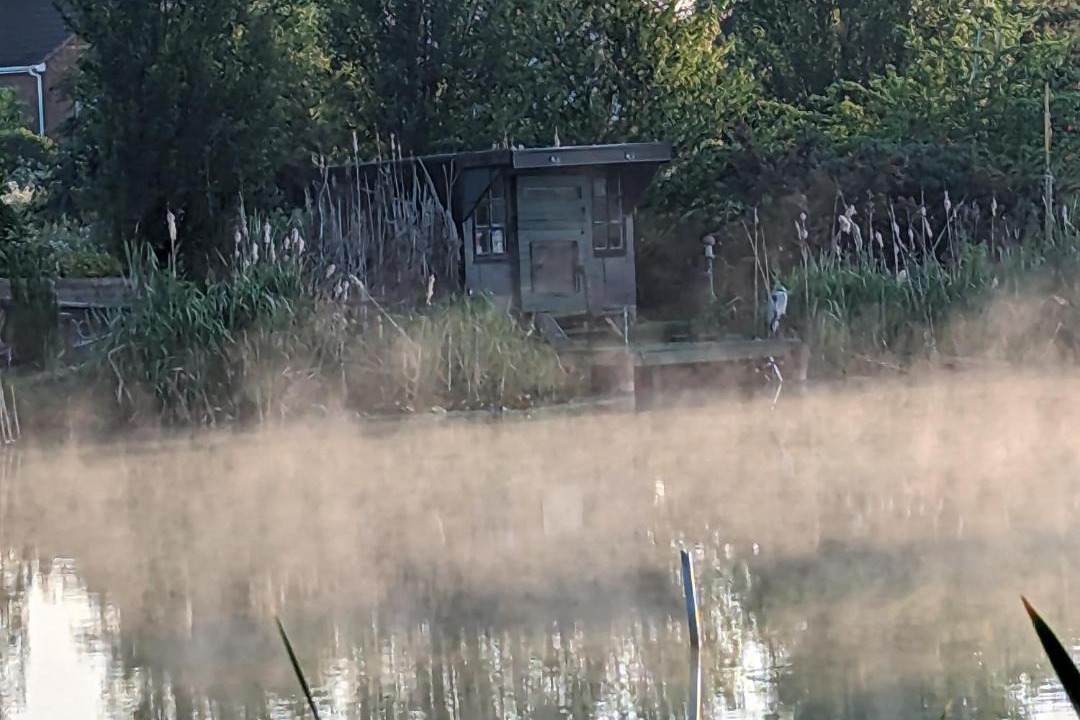 Photo of Others in St. Mary's