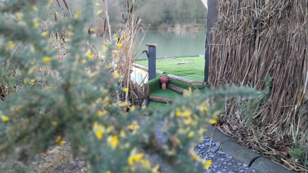 Photo of Others in St. Mary's