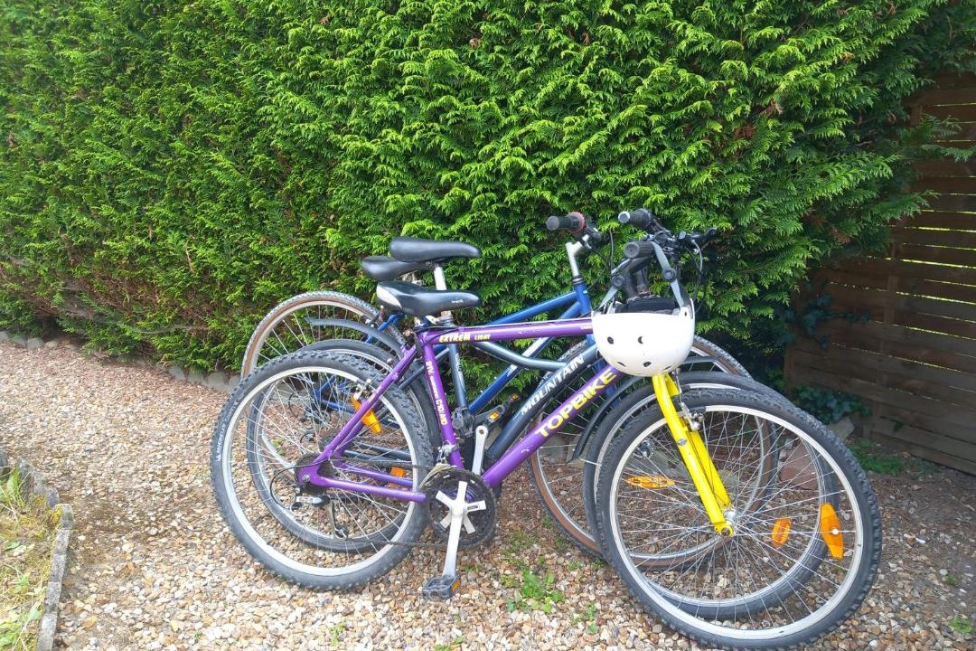 Photo of Others in Seigy