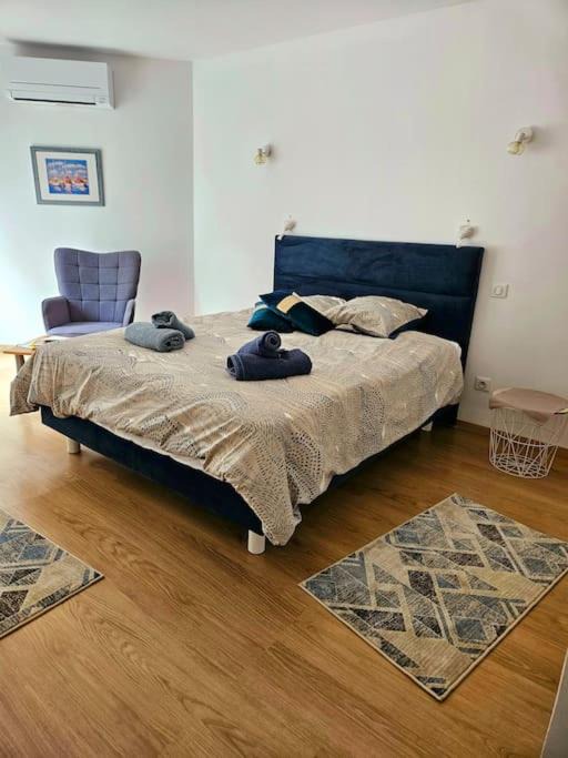 Photo of Others in Carcassonne