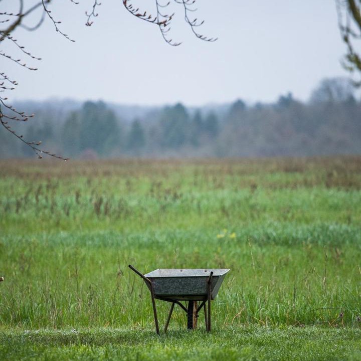 Photo of Others in Woolhamton