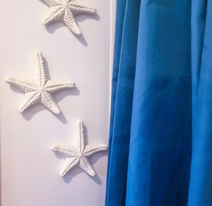 Photo of Others in Whitianga