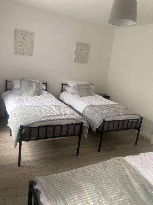 Photo of Others in Mountain Ash