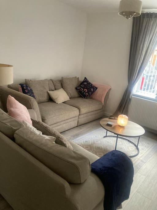 Photo of Others in Mountain Ash