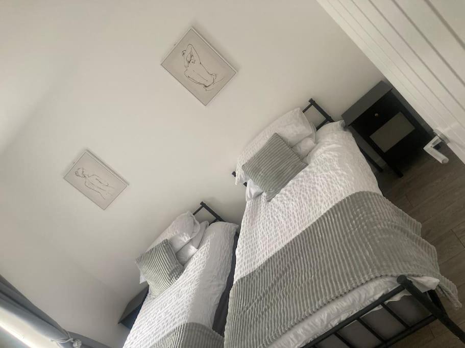 Photo of Others in Mountain Ash