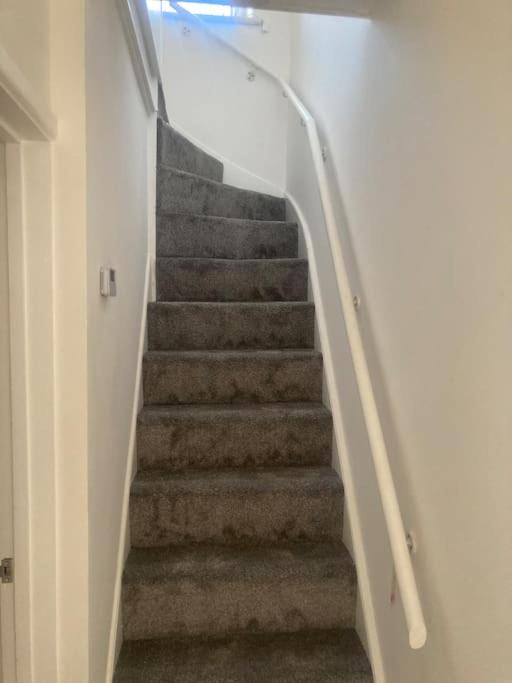 Photo of Others in Mountain Ash