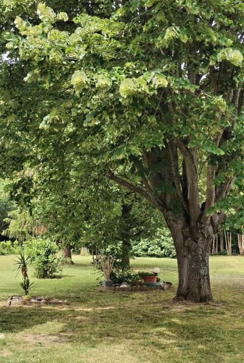 Photo of Others in Montgiscard