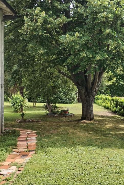 Photo of Others in Montgiscard