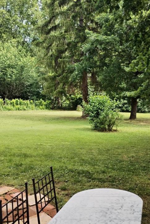 Photo of Others in Montgiscard