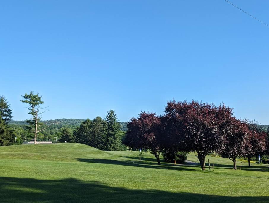 Photo of Others in Rexmont