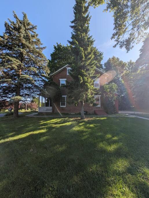 Photo of Others in Rexmont