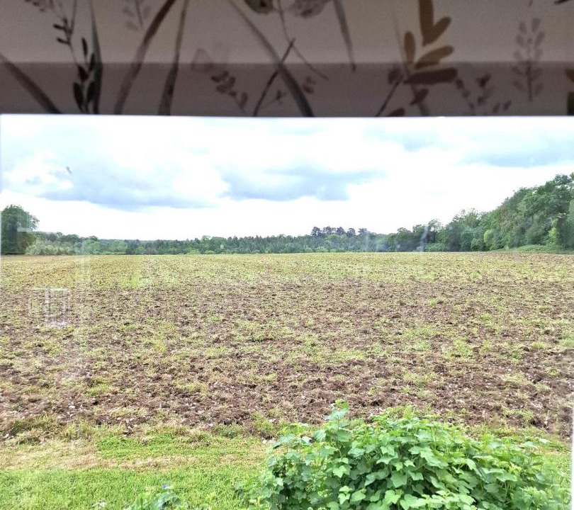 Photo of Others in Woolhamton