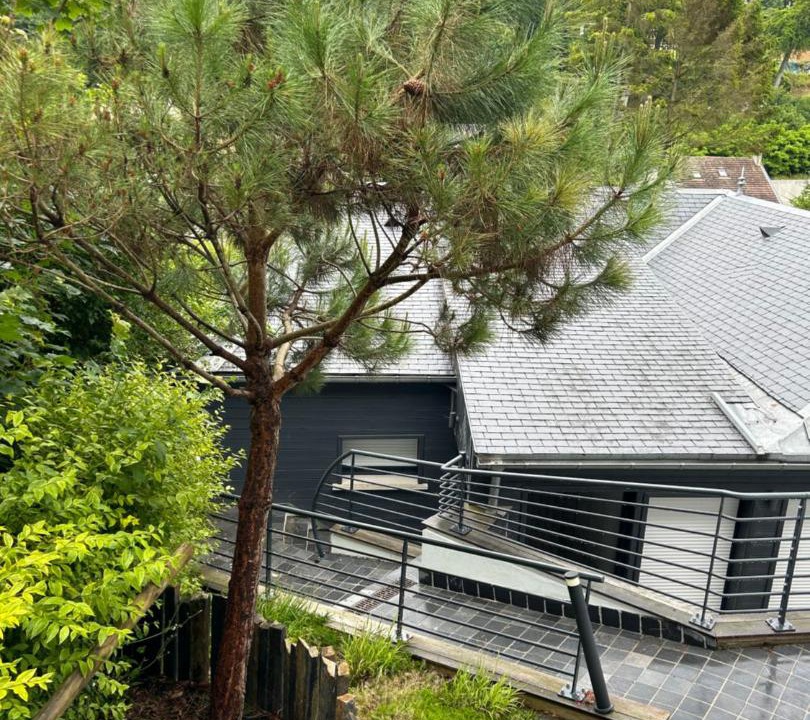 Photo of Others in Yport