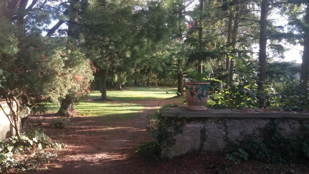 Photo of Others in Apremont