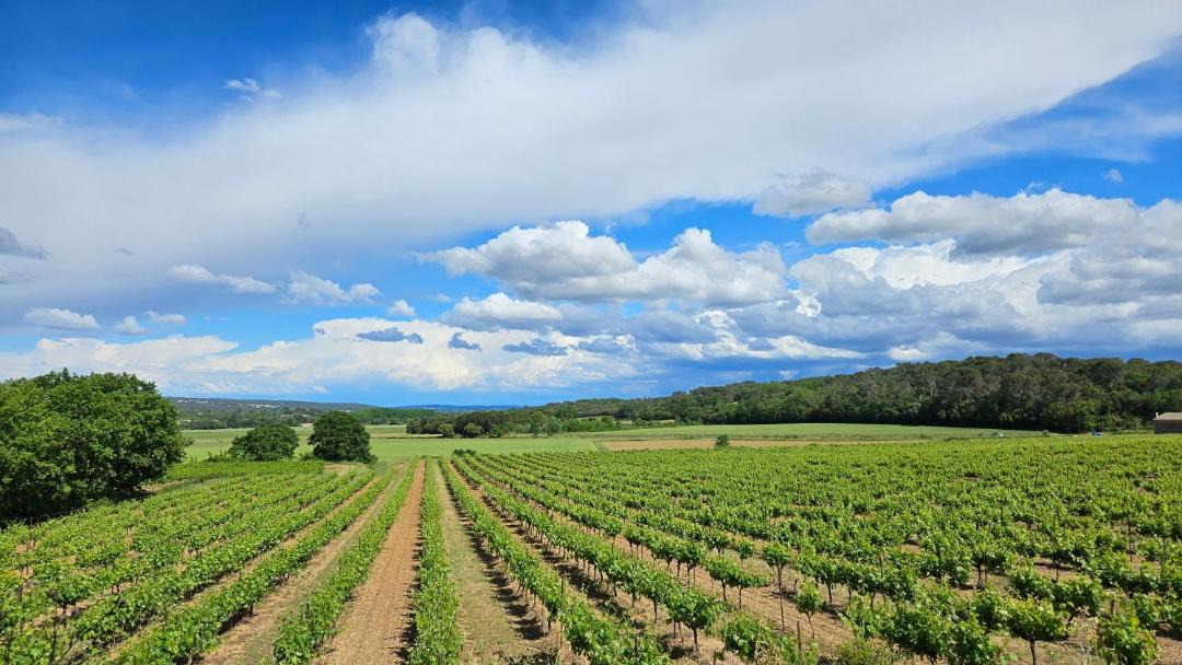 Photo of Others in Saint-Siffret