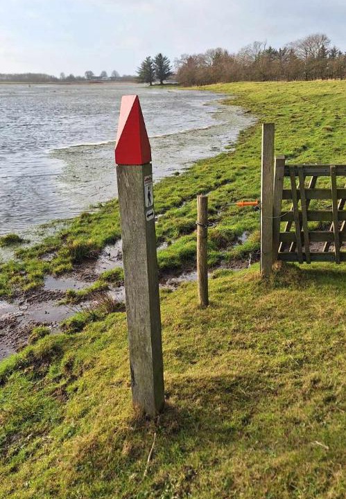 Photo of Others in Mandoe