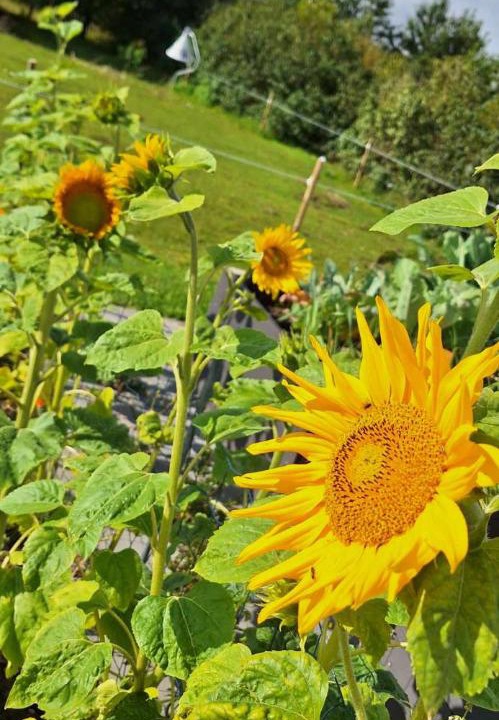 Photo of Others in Mandoe