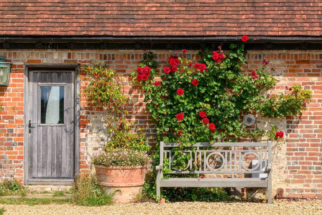 Photo of Others in Beaulieu