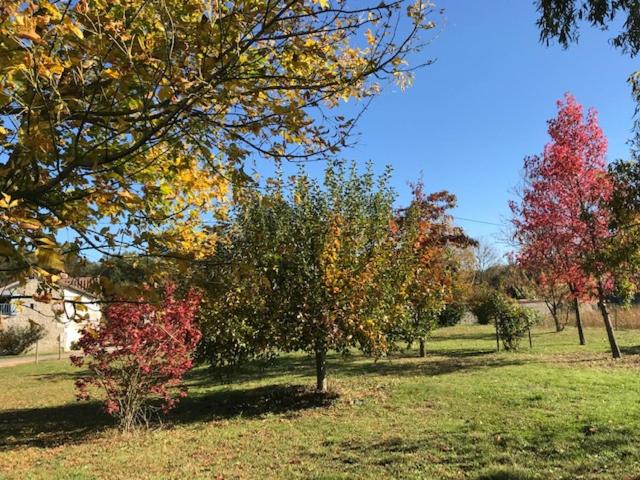 Photo of Others in Champigny-sur-Veude