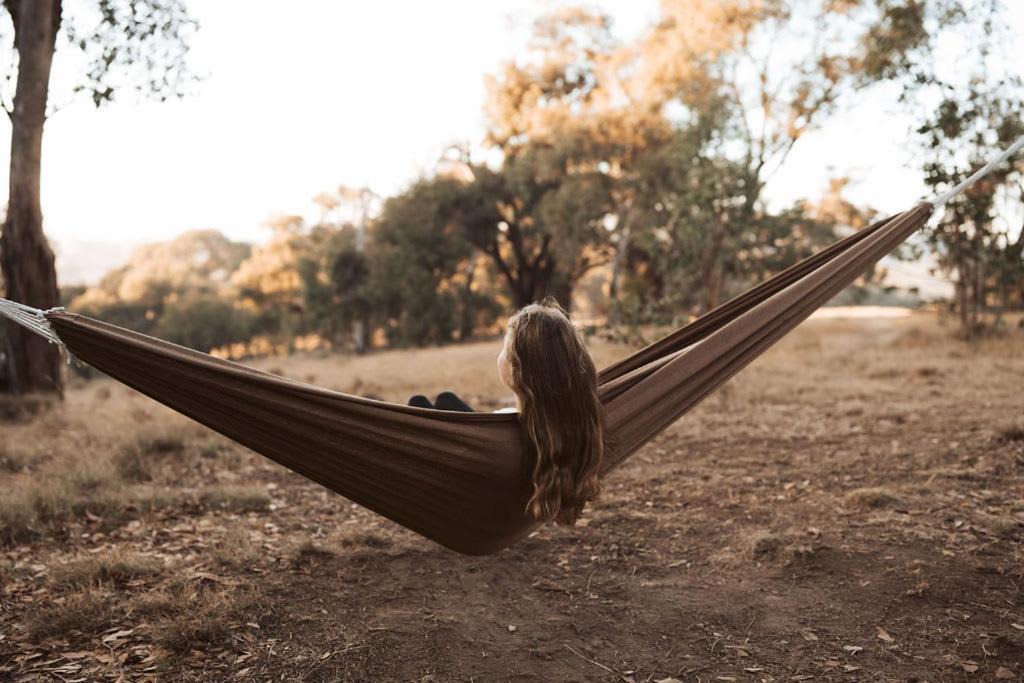 Photo of Others in Metcalfe