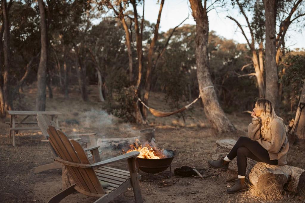 Photo of Others in Metcalfe