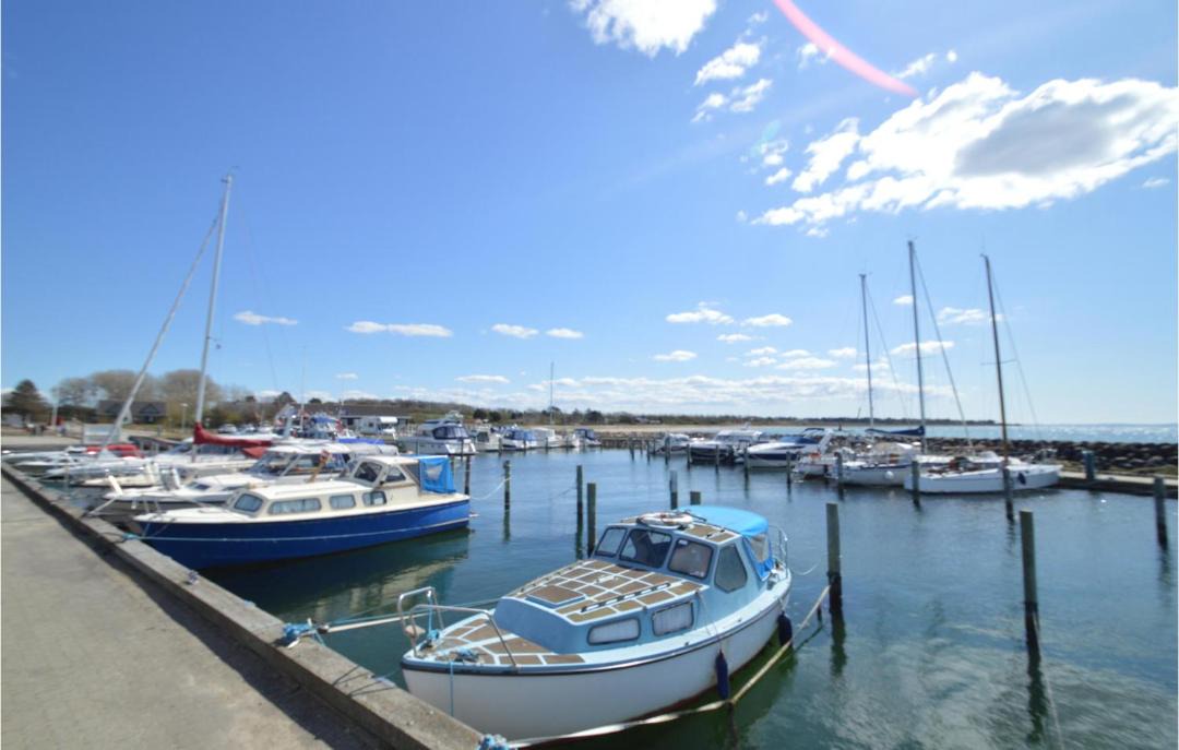 Photo of Others in Venemose