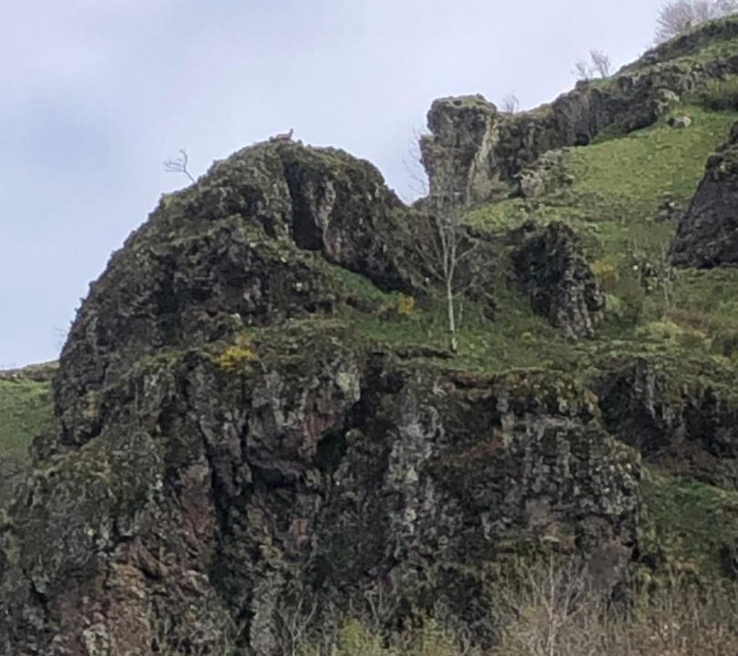 Photo of Others in Le Falgoux