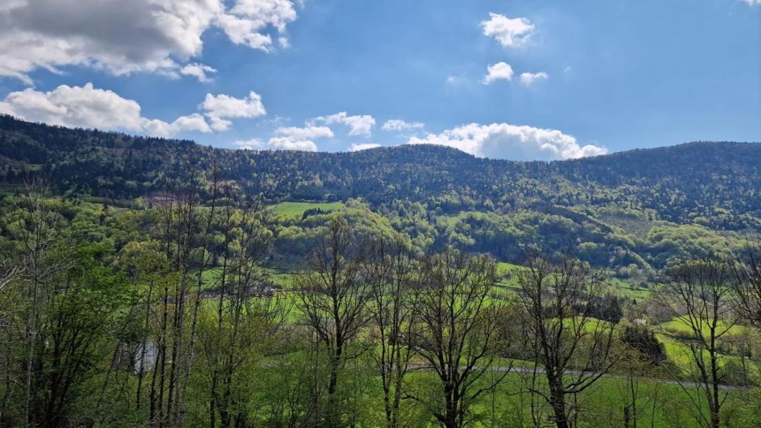 Photo of Others in Le Falgoux