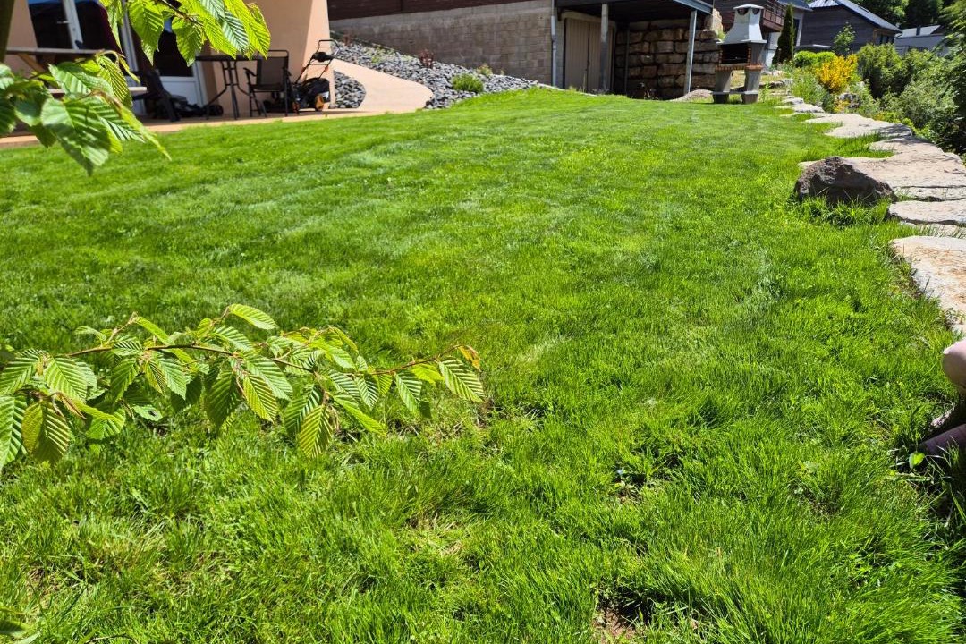 Photo of Others in Prades-d'Aubrac