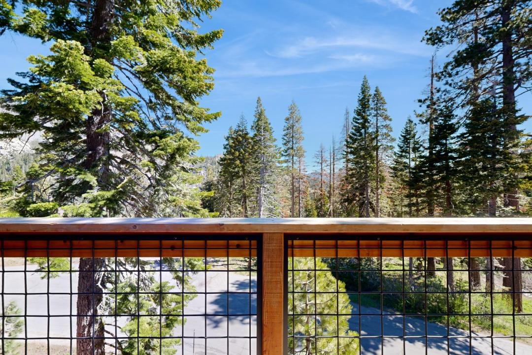 Photo of Others in Alpine Meadows