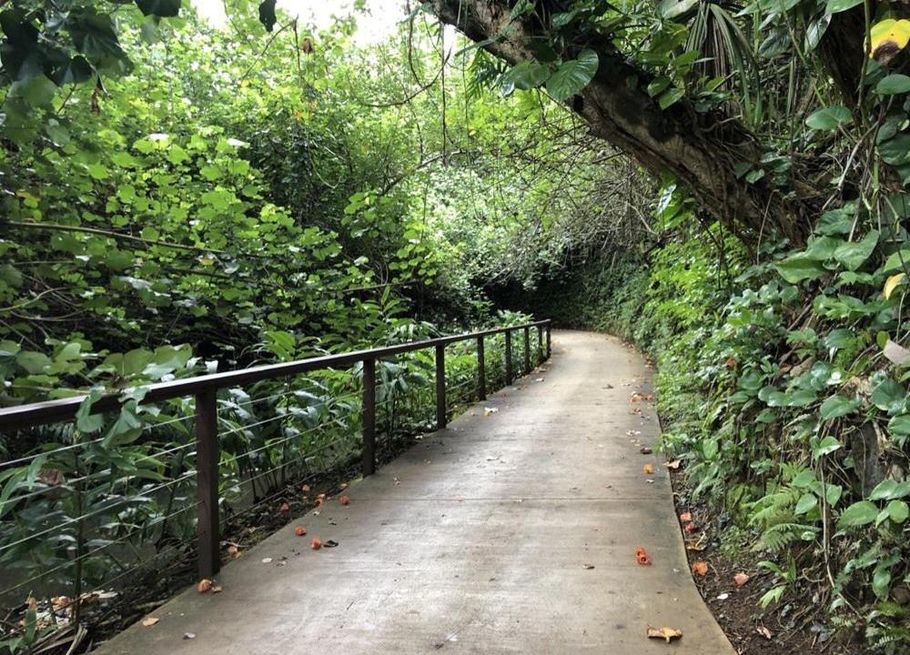 Photo of Others in Princeville