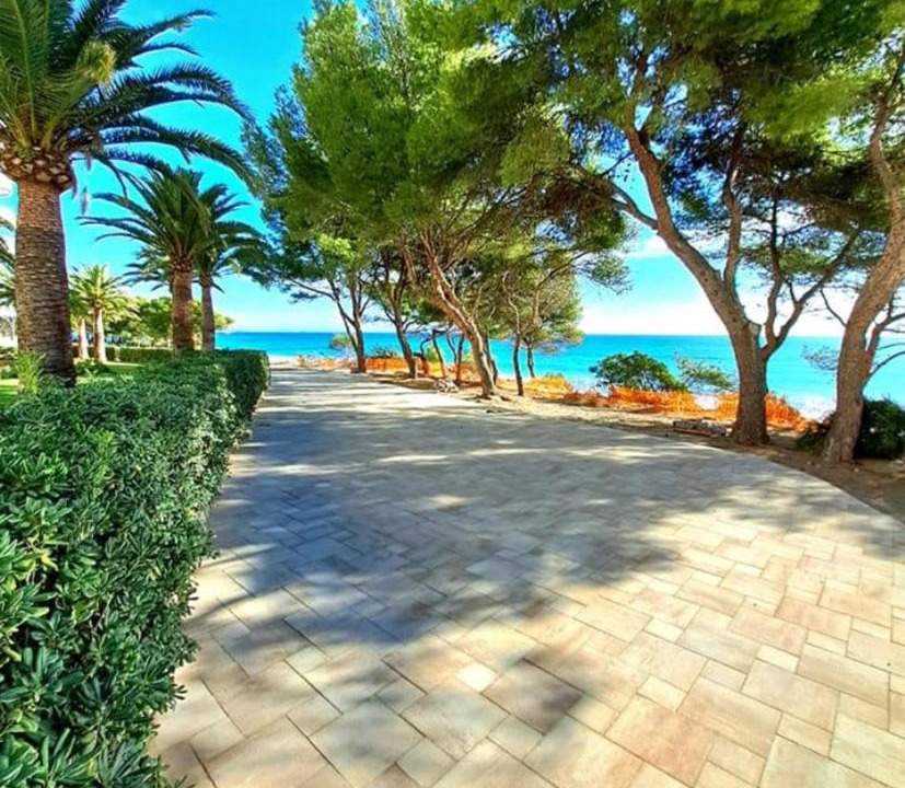 Photo of Others in Miami Platja