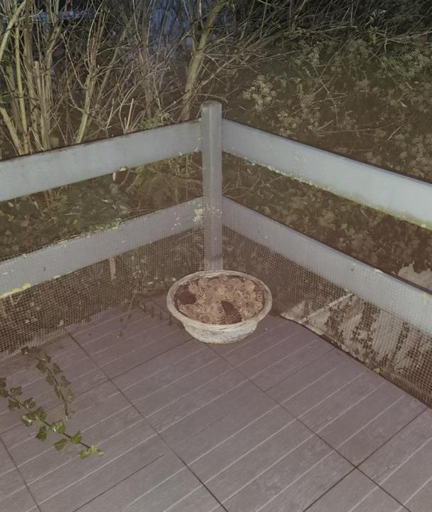 Photo of Others in Morisel