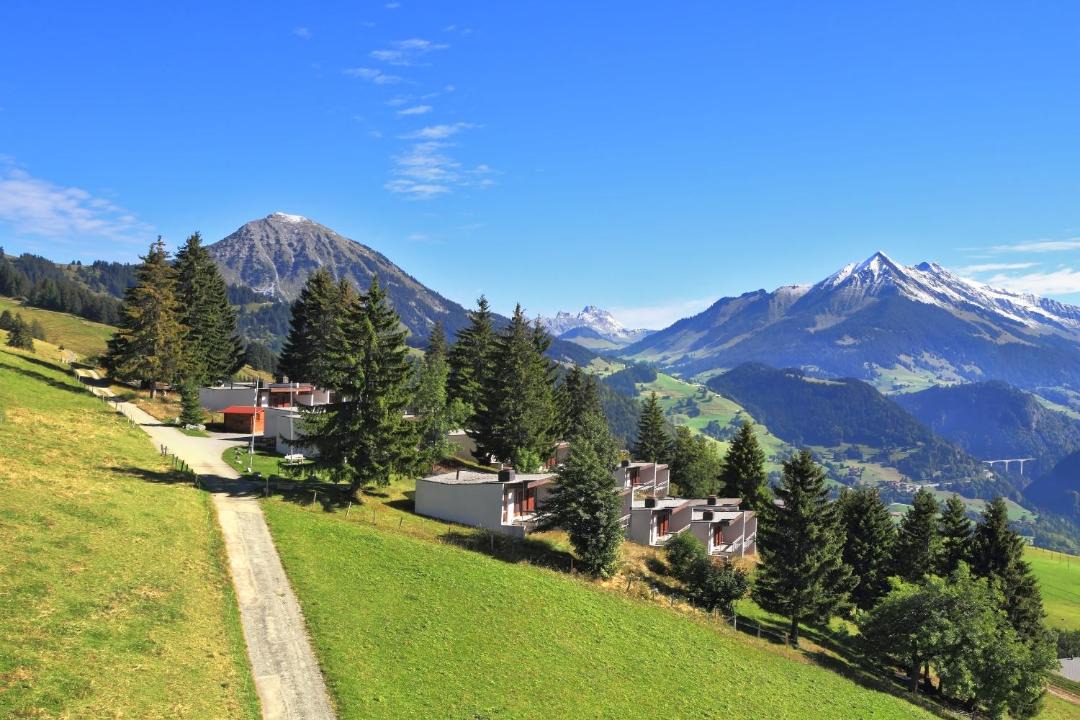 Photo of Others in Leysin