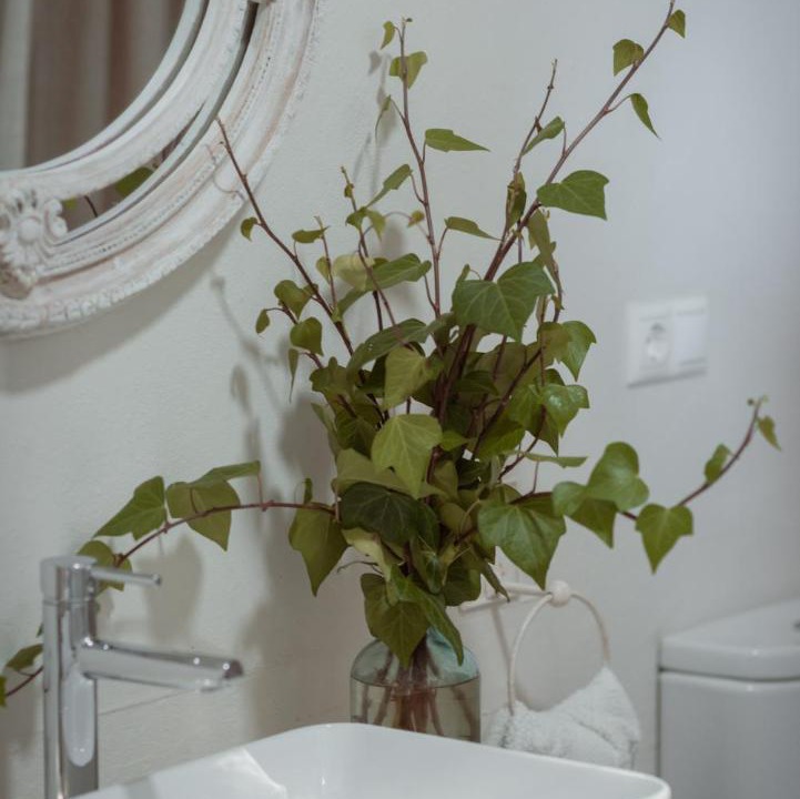 Photo of Bathroom in Alicante