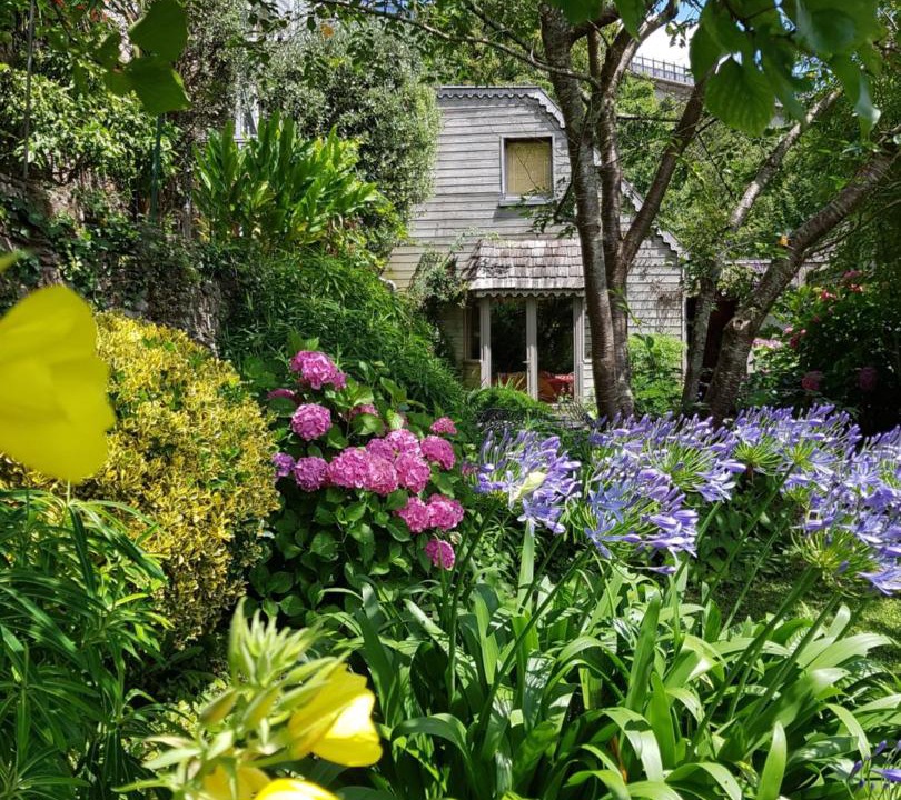 Photo of Others in Bellevue