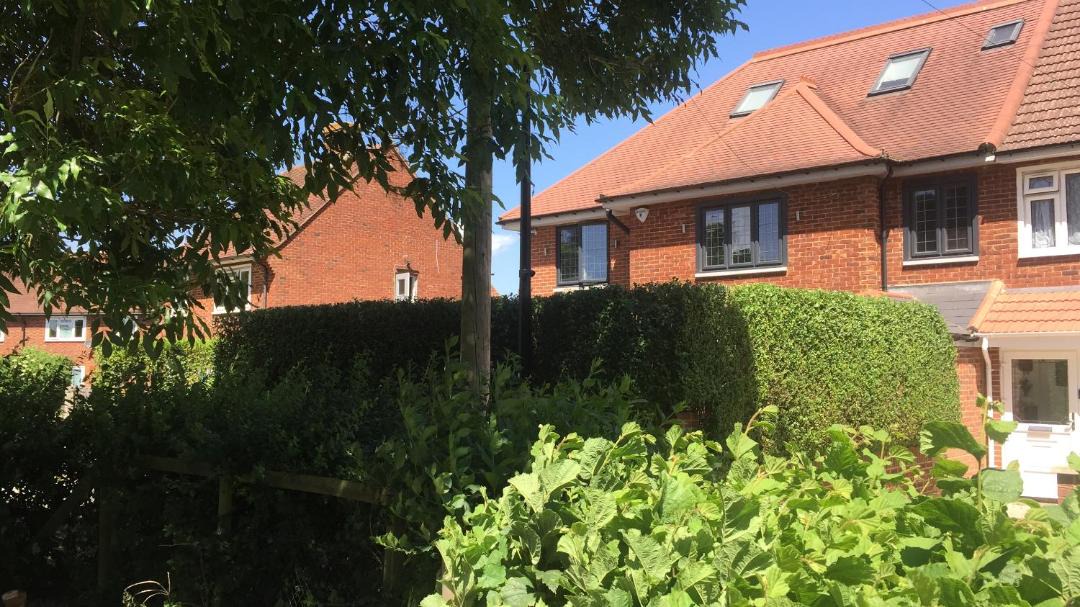 Photo of Others in London Borough of Hounslow