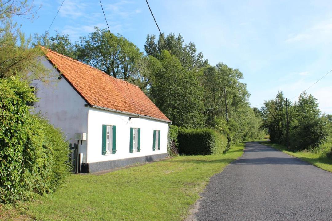 Photo of Others in Rue