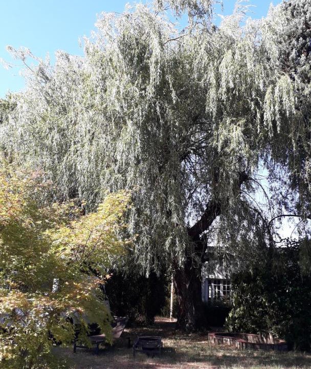 Photo of Others in Mazamet