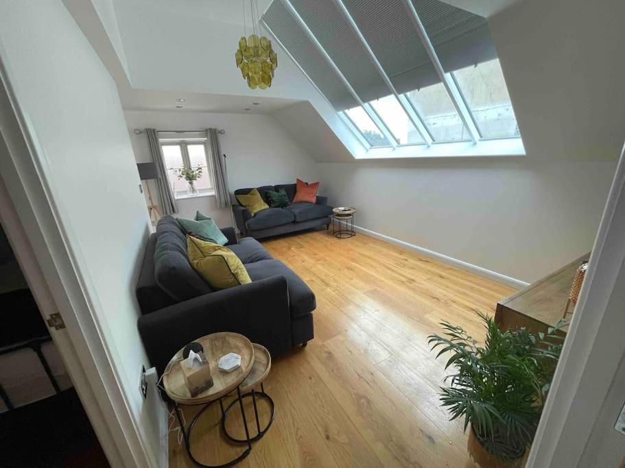 Photo of Others in Street